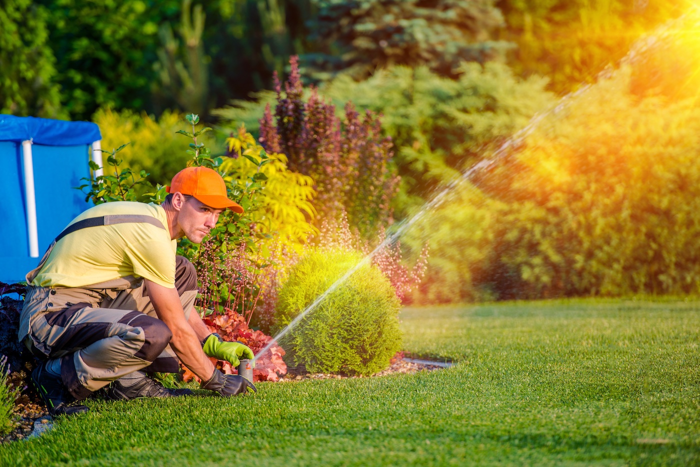 Lawn Care and Landscaping